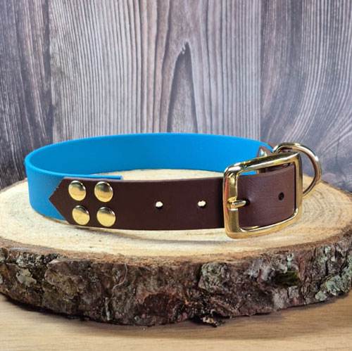 Shadow - Collier personnalisable chien en biothane - fait main