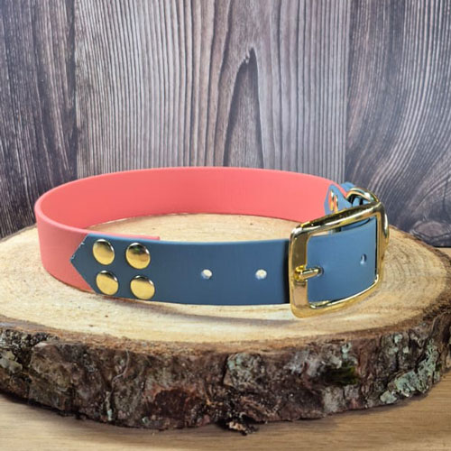 Shadow - Collier personnalisable chien en biothane - fait main