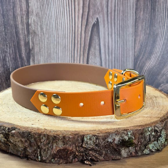 Shadow - Collier personnalisable chien en biothane - fait main