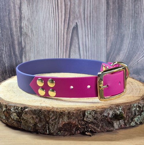 Shadow - Collier personnalisable chien en biothane - fait main