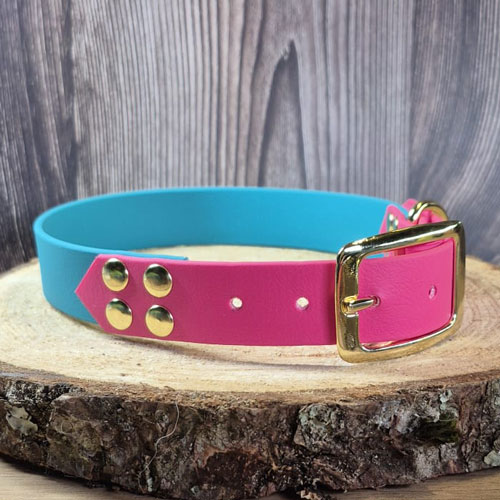 Shadow - Collier personnalisable chien en biothane - fait main