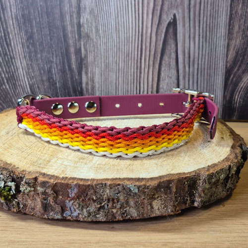 Beethoven Mini - Collier chien en paracorde tressée