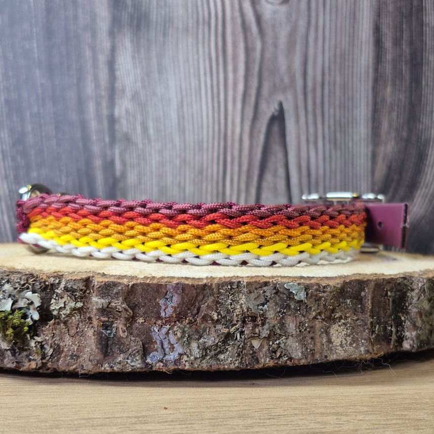 Beethoven Mini - Collier chien en paracorde tressée