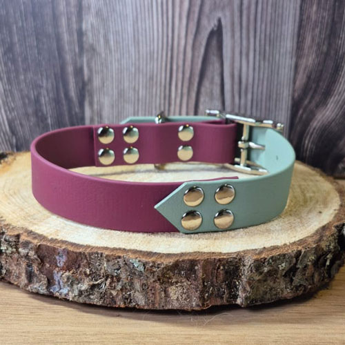 Einstein - Collier personnalisable chien en biothane - fait main