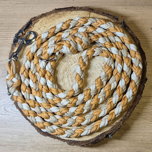 Apollon - Laisse chien en paracorde tressée