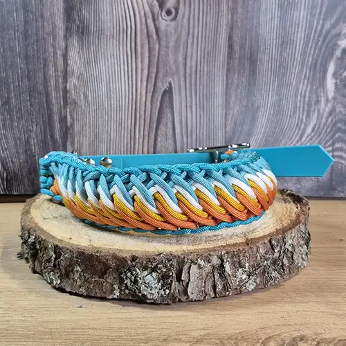 Buck - Collier chien en paracorde tressée