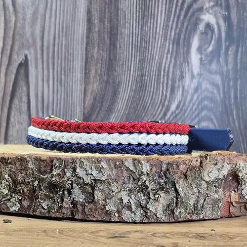 Colonel Mini - Collier chien en paracorde tressée - envoi immédiat