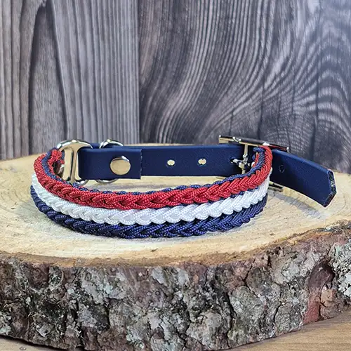 Colonel Mini - Collier chien en paracorde tressée - envoi immédiat