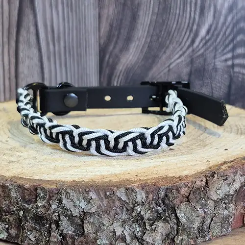 Laïka Mini - Collier chien en paracorde tressée - envoi immédiat