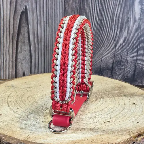 Fang Mini - Collier chien en paracorde tressée - envoi immediat